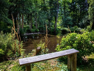 The enchanted garden