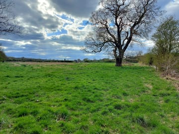 Triangle field campsite