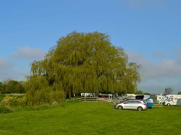 Spacious grass pitches