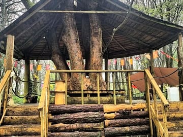 Communal area