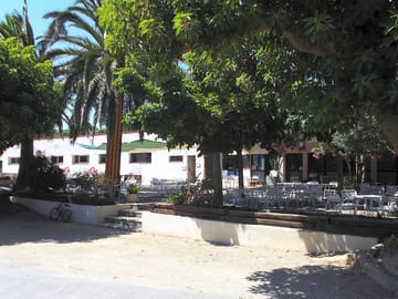 Bar terrace surrounded by trees