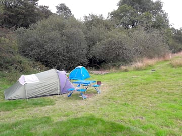 Guests' tents