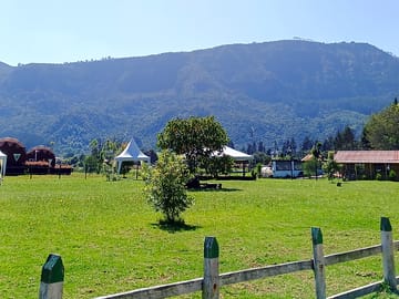 Site views