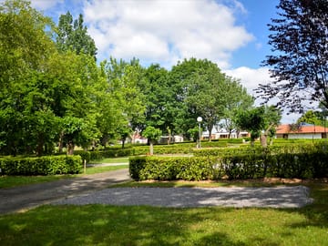 Hedges trees for greenery and shade