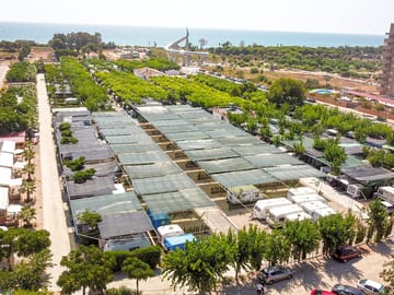 Aerial view of site