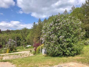Site view