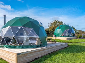 Bluebell dome