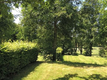 Pitches surrounded by hedges