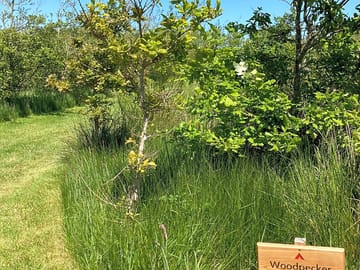 Access into a secluded pitch