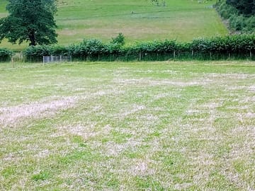 The field