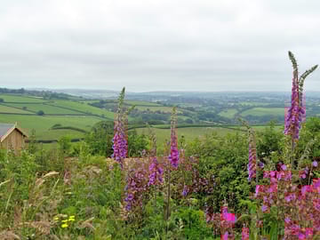 40 acres of farmland with beautiful views and wildlife