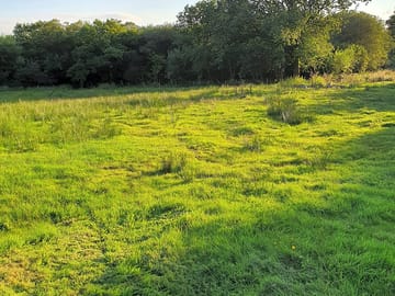 Pentre dolau in summer