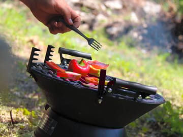 Grilled veggies