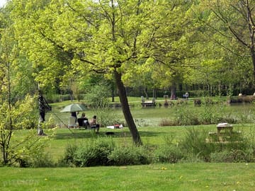 Peaceful woodland pitches
