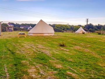 Showing anna belle & clara belle in glamping field - photo taken early evening