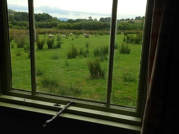 View sitting at the table
