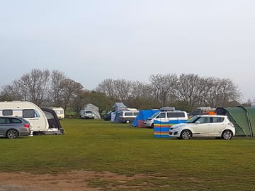 Electric grass tent pitch