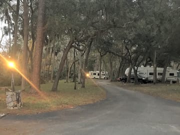 Grassy, tree-lined park