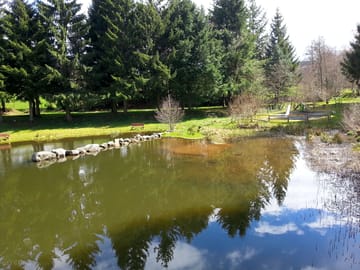 The pond