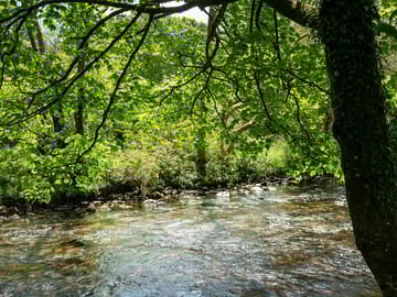 River boot