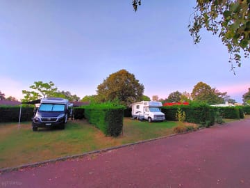 Grass pitches divided by hedges