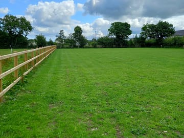Looking across the field