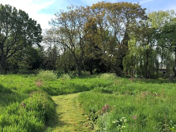 Orchard
