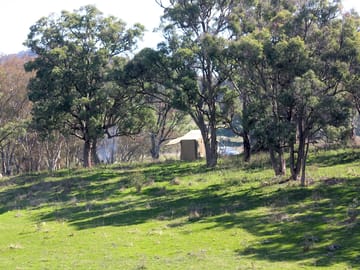 Pitches among the trees