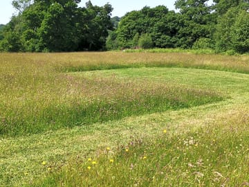 Camping meadow