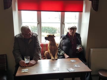 Dogs are most welcome, especially when its their round