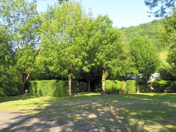 Tree-shaded pitches