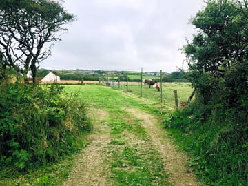 Access into the field