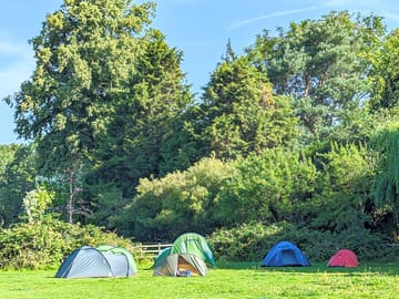 Sun or shade in the morning? Choose your own spot
