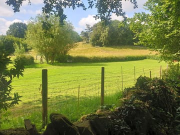 Views from the site