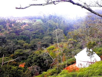 View of the yurt
