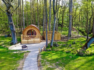Pod in woodland