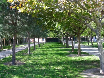 Pitch area