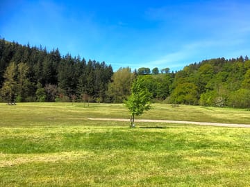 The pitch area