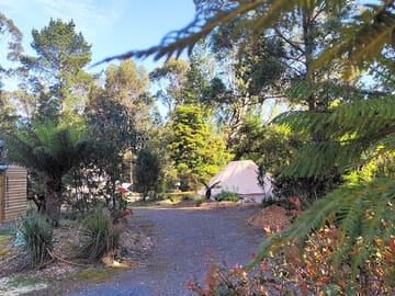 Glamping area