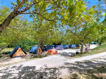 Pitch under the trees