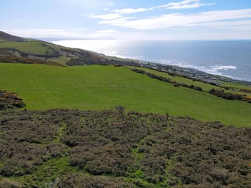 The camping field