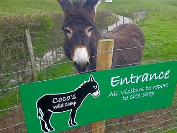 A warm welcome from coco