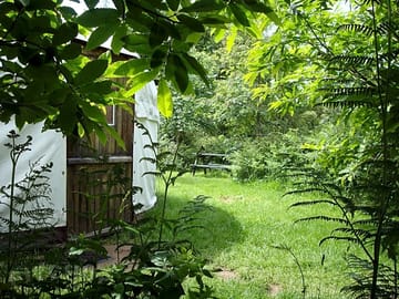 Chestnut yurt