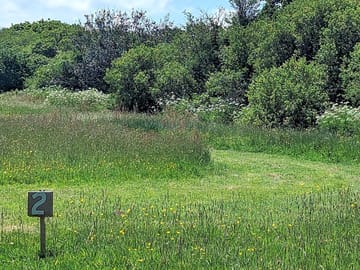 Our pitches