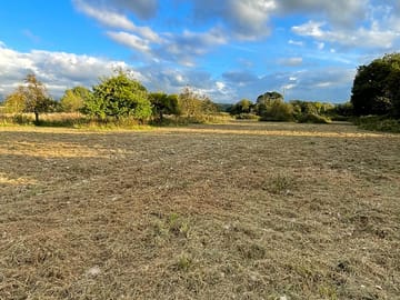 Orchard south view