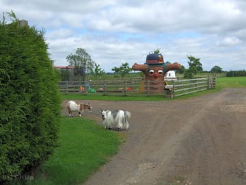 Meet the locals