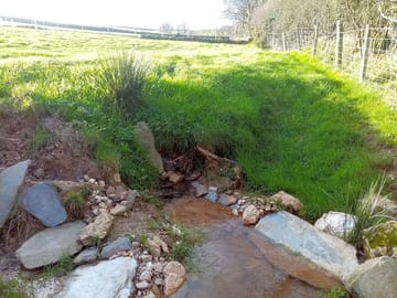 Spring on site