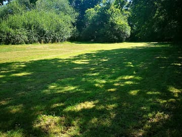 Pitches surrounded by trees