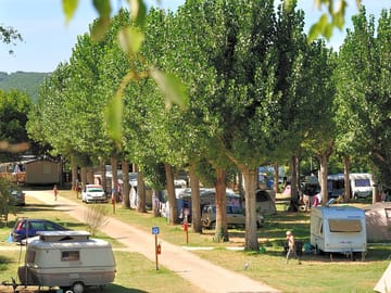 Pitches among the trees