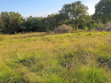 Pentre dolau view